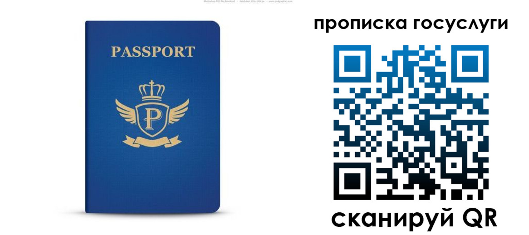 прописка для школы в Россоши